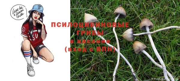 бутират Бородино