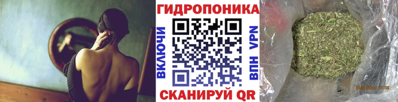 как найти закладки  Циолковский  Канабис индика 